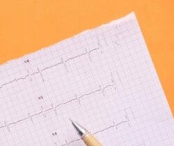 Cardiovascular Disease Australia: How To Prevent Cardiovascular Disease